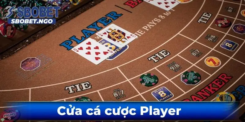 Cua-ca-cuoc-player